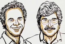 Premio Nobel de Medicina 2024: Revolución genética con los microARN