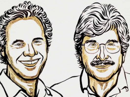 Premio Nobel de Medicina 2024: Revolución genética con los microARN