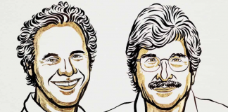 Premio Nobel de Medicina 2024: Revolución genética con los microARN