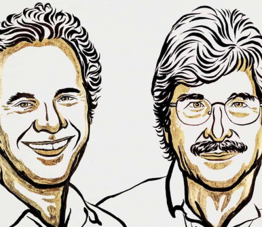 Premio Nobel de Medicina 2024: Revolución genética con los microARN